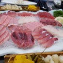 다다참치 이미지