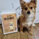 (주) 앤즈글로벌 | 백세개로 대견패드 대형 강아지 배변패드