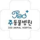 주동물병원 이미지