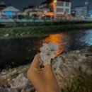 용산천변길 네이버블로그