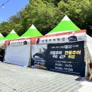 사랑약국] 2025년 제95회 남원 춘향제 리얼후기🔥현장 후기&amp;아기랑 가볼만한 행사&amp;주차정보!🌸&#39;연돈볼카츠...