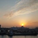 제주오다 이미지