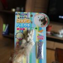 스피드덴탈 이미지