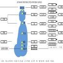 오색찻잔 선차 명상과 색채심리 - 색채심리와 차크라 이미지