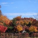 세븐일레븐 광주조선대병원본관점 이미지