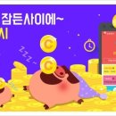 오토링 이미지