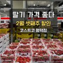 한성목장 | [코스트코 평택점] 2월 셋째주 할인 총정리｜토시살·딸기 가격 좋다, 리챔·햇반 쟁임템