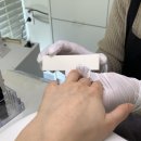 조이풀리 이미지