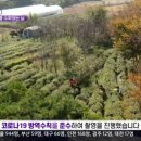 김순화농장 티스토리