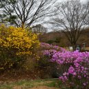 정발산공원 이미지