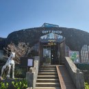 새별목장 이미지