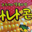 꿀돼지과자점