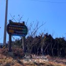 백향목민박 이미지