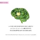 하이초도 이미지