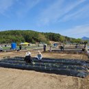 고성농장 이미지