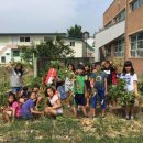 광덕초등학교 이미지