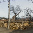 읍내리마을회관 이미지