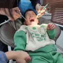 황성수치과 네이버블로그