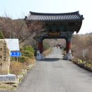 원량초등학교연화분교장 Daum카페