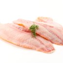 대전펫츠 이미지