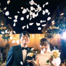 자하문호텔 | HW컨벤션 본식스냅 촬영 후기 | 어두운홀 웨딩촬영 포인트 총정리