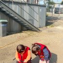 탄도항 공중화장실 (경기도) | 안산 아기랑 대부도 탄도항 요트 체험 무료 후기 꿀팁