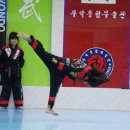 이천태권도체육관 이미지