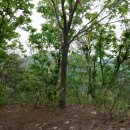 한재미농장 이미지