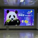 짱오락실 대전둔산점 | 2025년 10월 하반기✍️