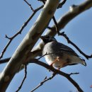 산새들공원 이미지