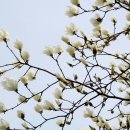 신대학약국 | 부산돼지국밥맛집 / 부산대학병원밥집 / 토성동맛집 / 국밥추천 &#34; 몽실종가돼지국밥 &#34;