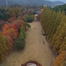 경상남도수목원주차장 이미지