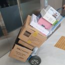 모닝글로리호성 | [W] Lg베스트샵 평촌본점에서 가전 졸업! (+투어전 할인꿀팁)