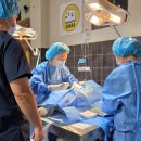 금동축산 이미지