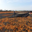 주홍목장 이미지