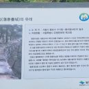 아침향기 이미지