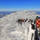 덕유자원 이미지