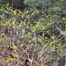 육사농장 이미지