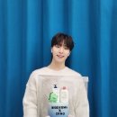 디노케이크