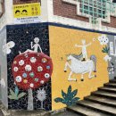 화순만연초 이미지