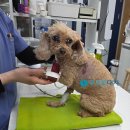 하랑메디컬 이미지