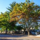 캠프아이엔지 이미지