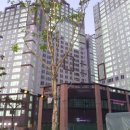 선광로즈웰A 이미지