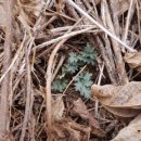 금양카센타 이미지