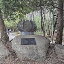 배선생