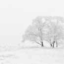 (주)지성소프트 이미지