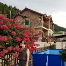 초현펜션 이미지