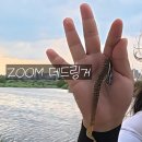 대구대물피싱 | [대구 경북 배스낚시 포인트]대구 도심 속 가까운 수성구 배스 포인트