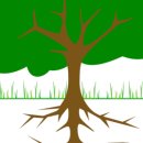 청혈한의원 이미지