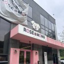 몽프리제 | 고양 애견카페 로제몽 두번째 방문 후기!